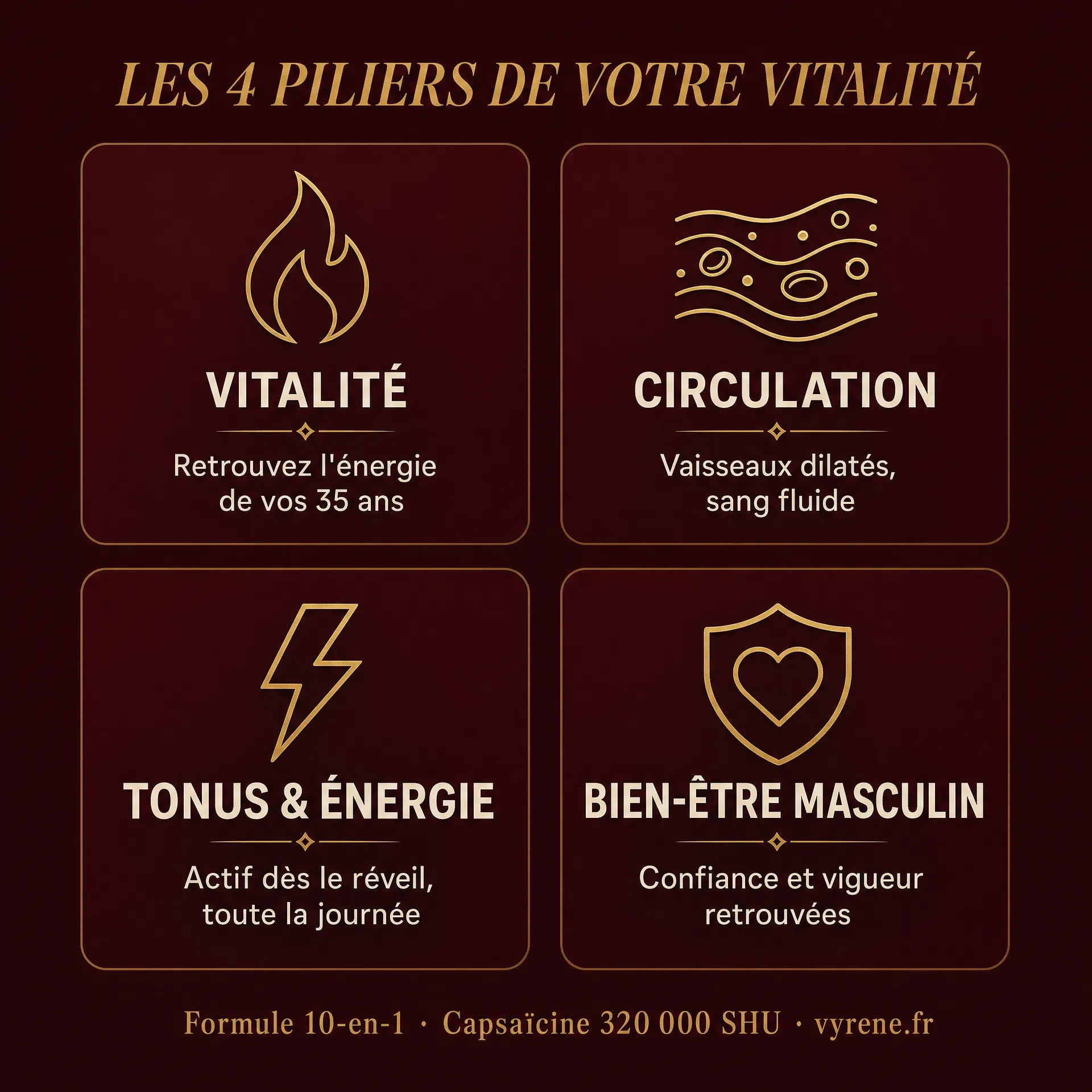 VASOFLUX — Vitalité & Circulation