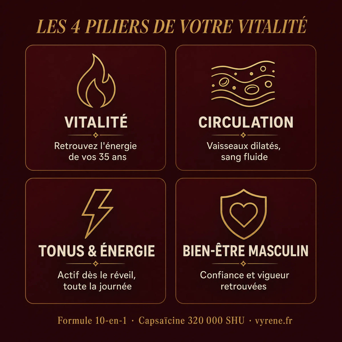 VASOFLUX — Vitalité & Circulation