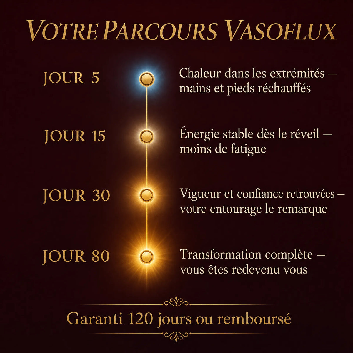 VASOFLUX — Vitalité & Circulation